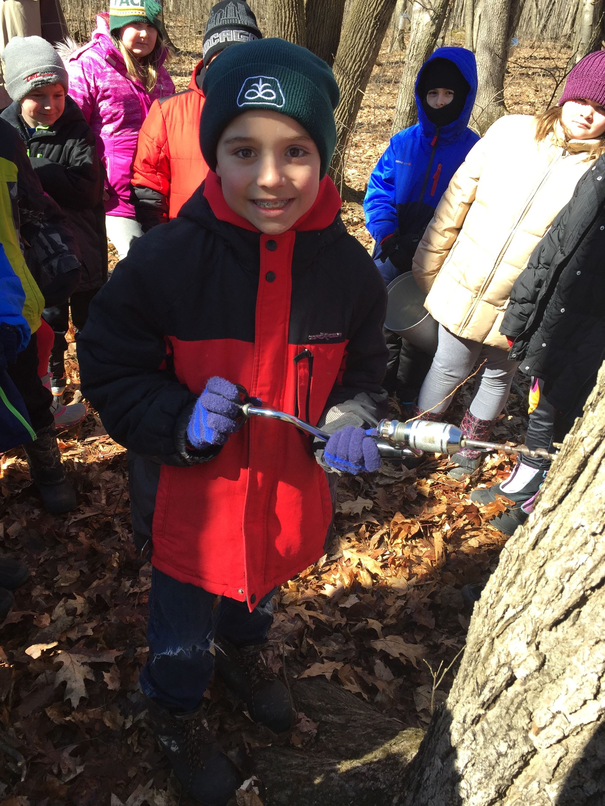 Boy using a hand drill to put a hole in a maple tree