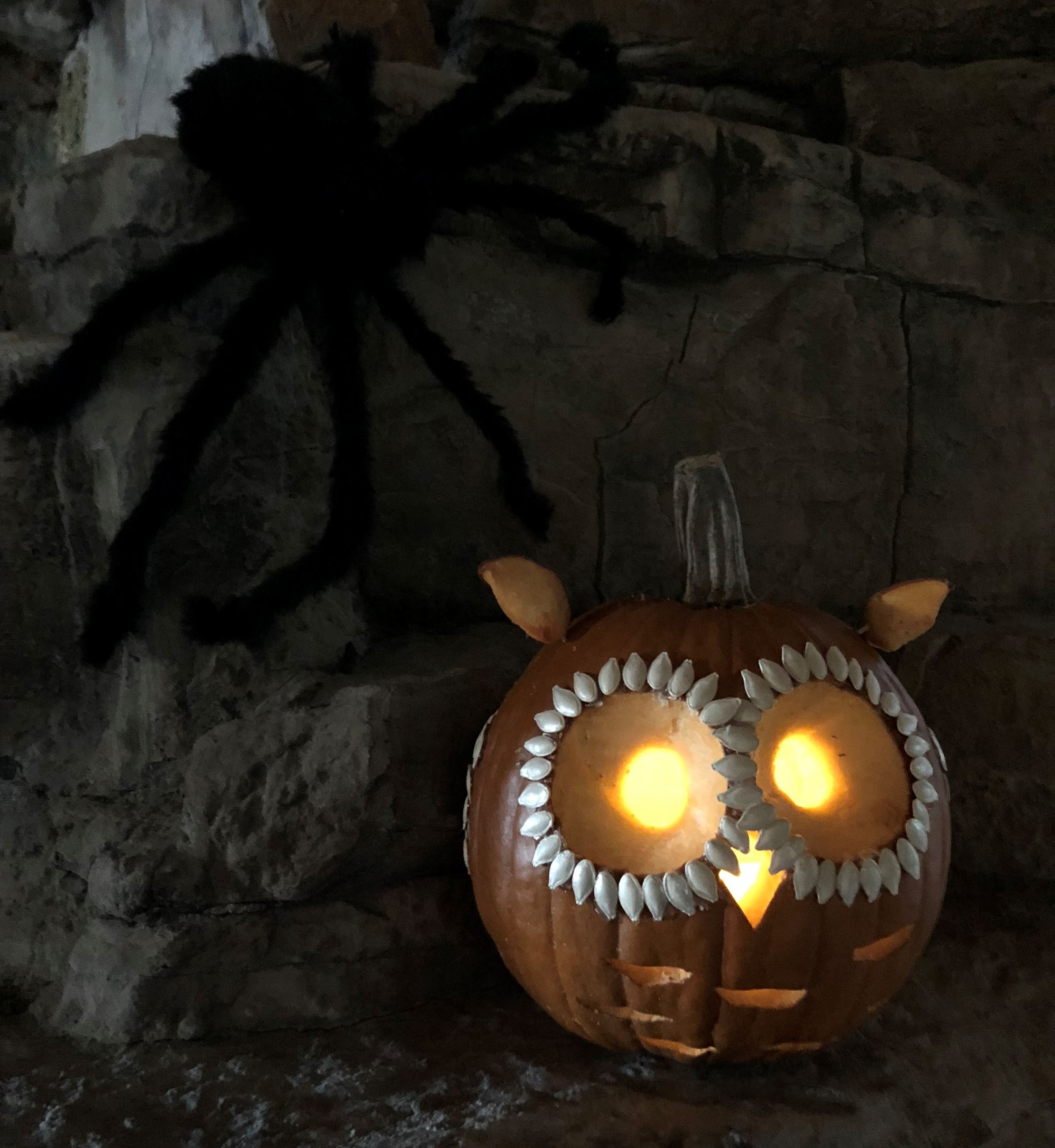 A carved Halloween pumpkin that is an owl face. There is a huge, black, hairy, spider above and to t